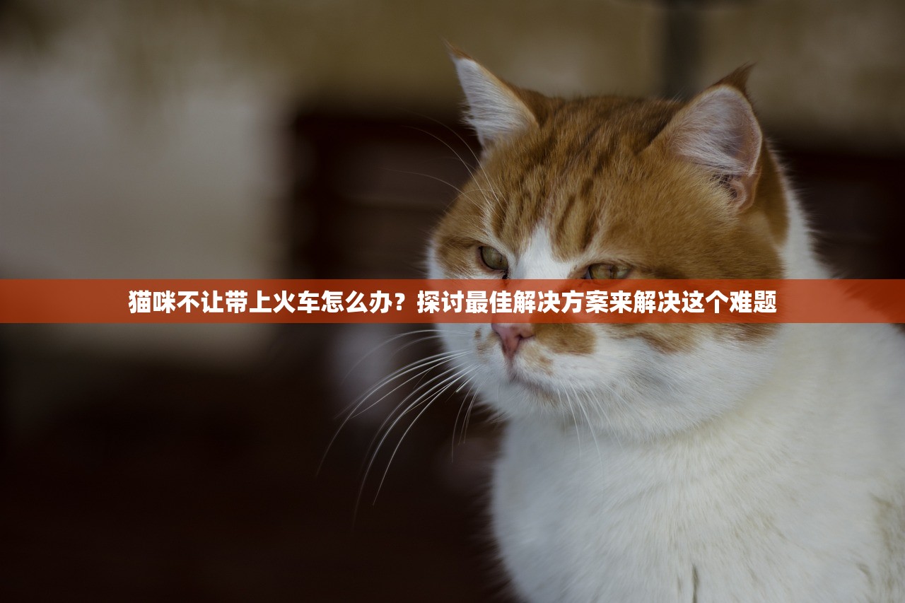 猫咪不让带上火车怎么办？探讨最佳解决方案来解决这个难题