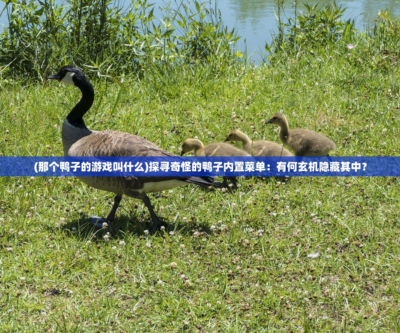 (那个鸭子的游戏叫什么)探寻奇怪的鸭子内置菜单：有何玄机隐藏其中？