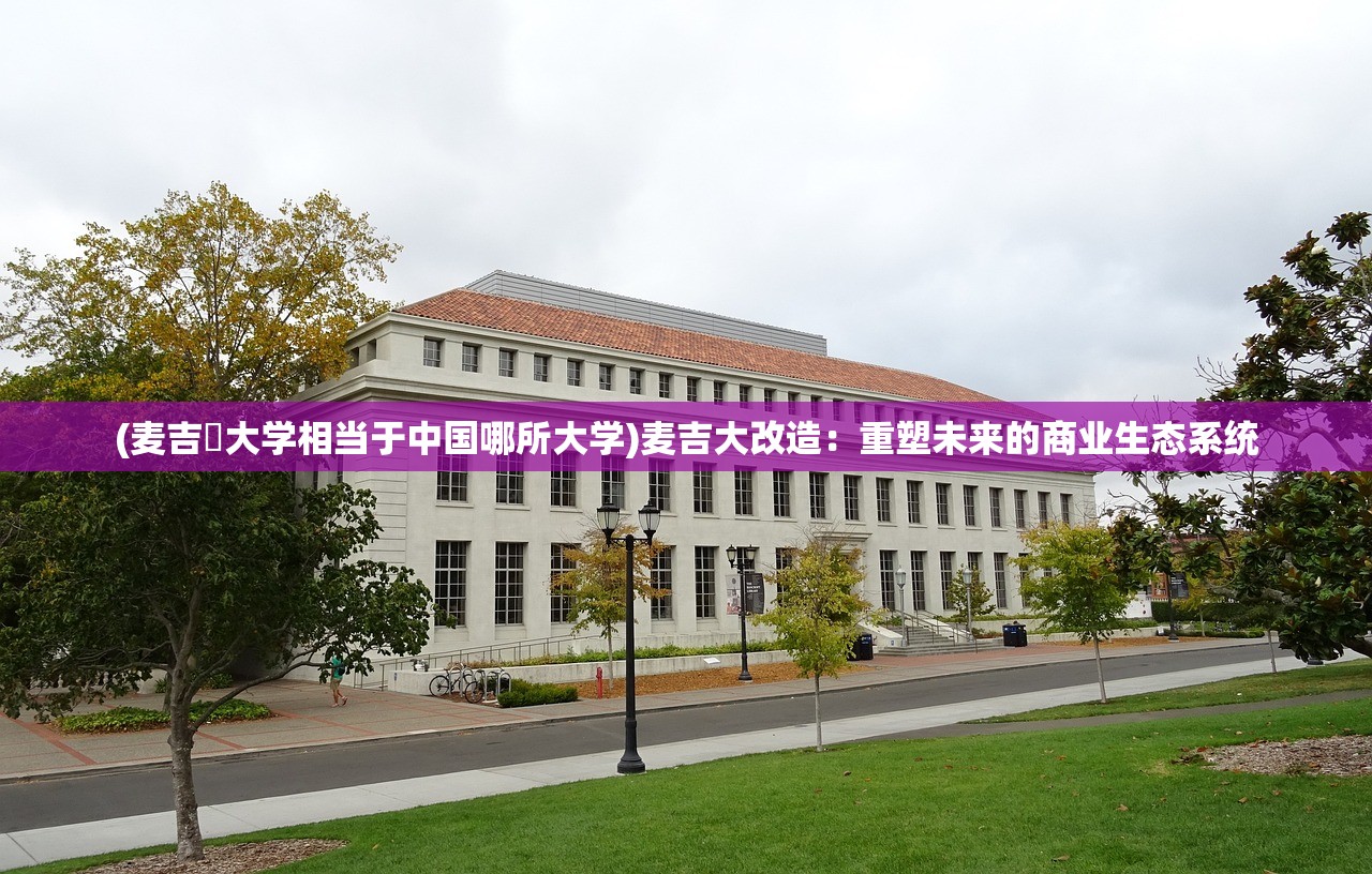 (麦吉尓大学相当于中国哪所大学)麦吉大改造：重塑未来的商业生态系统