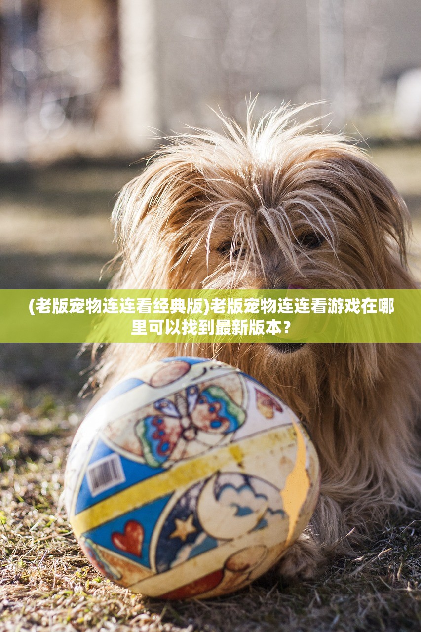 (花与猫盲盒)携手芬芳，共舞相思：花与猫与香水折相思版