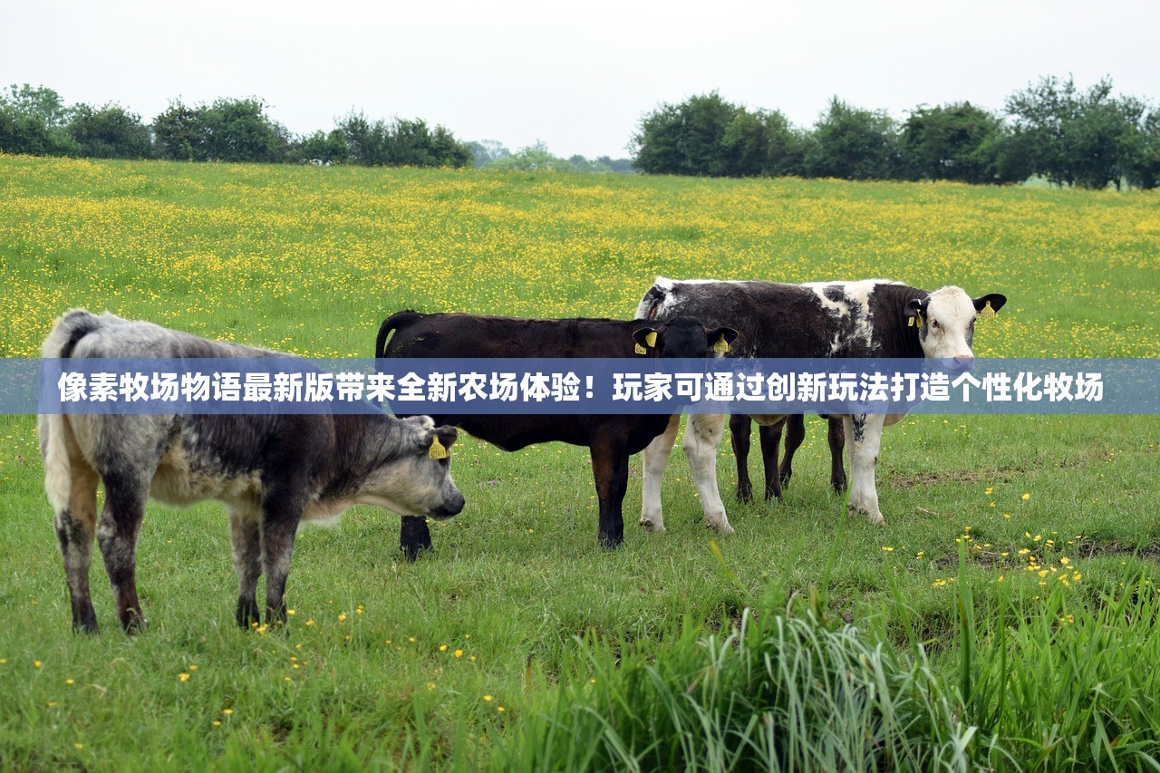 (燃烧王座5号怎么打)详解燃烧王座5号单打攻略，教你如何轻松击败Boss获取丰厚奖励