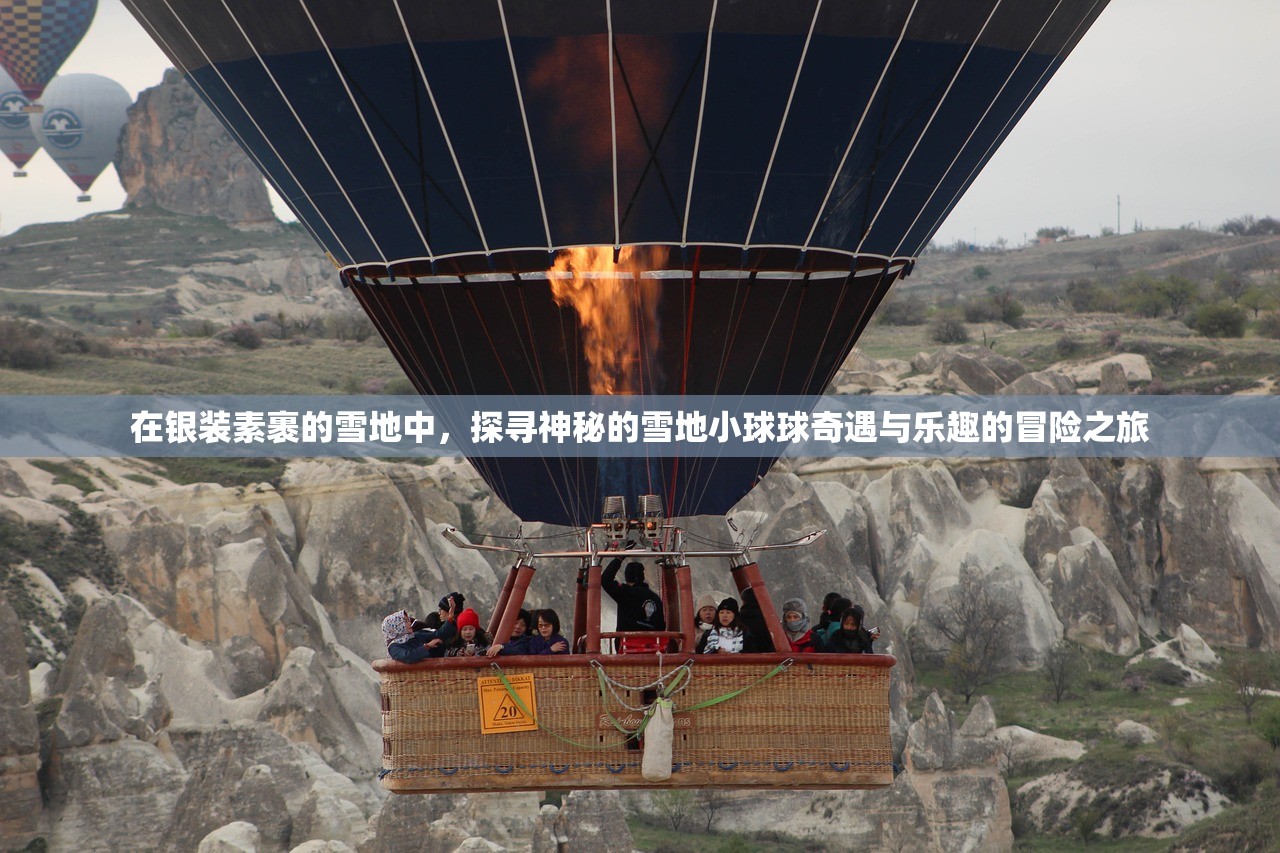 在银装素裹的雪地中，探寻神秘的雪地小球球奇遇与乐趣的冒险之旅